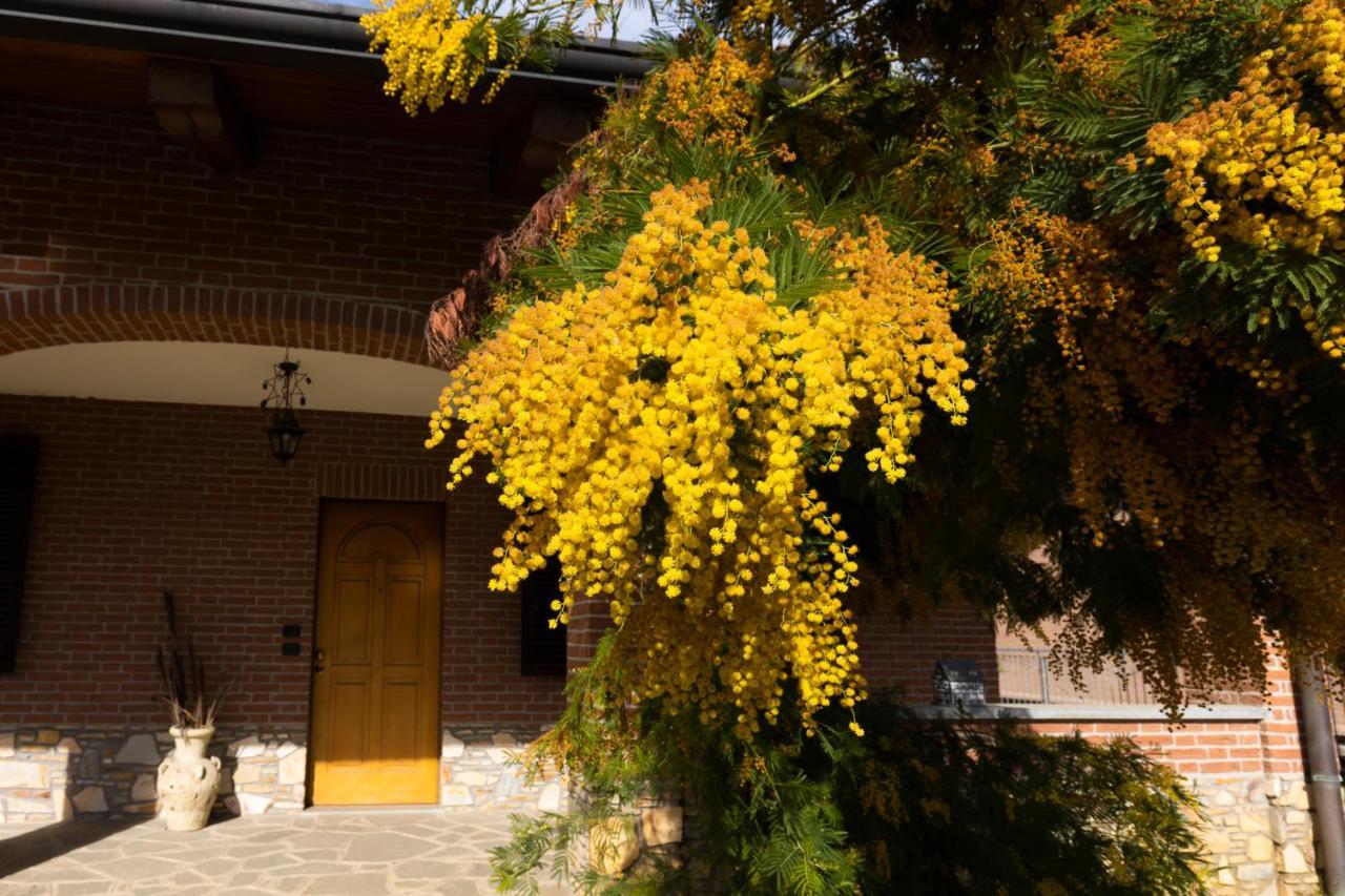 Villa Anna Moncalieri Exterior foto